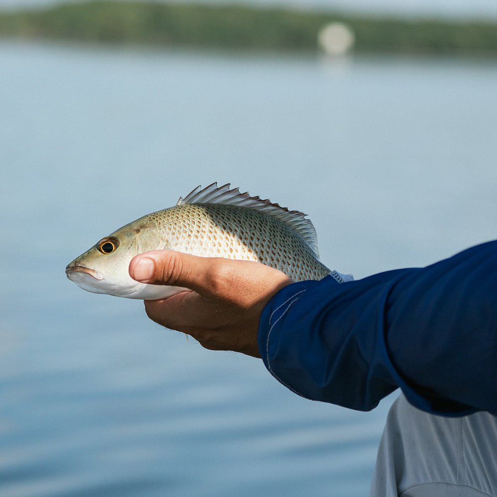 Every Catch Counts